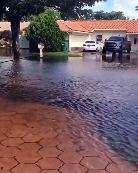 #Viral | Vea lo que pescó este hombre en medio de las inundaciones en Miami (+Vídeo)
