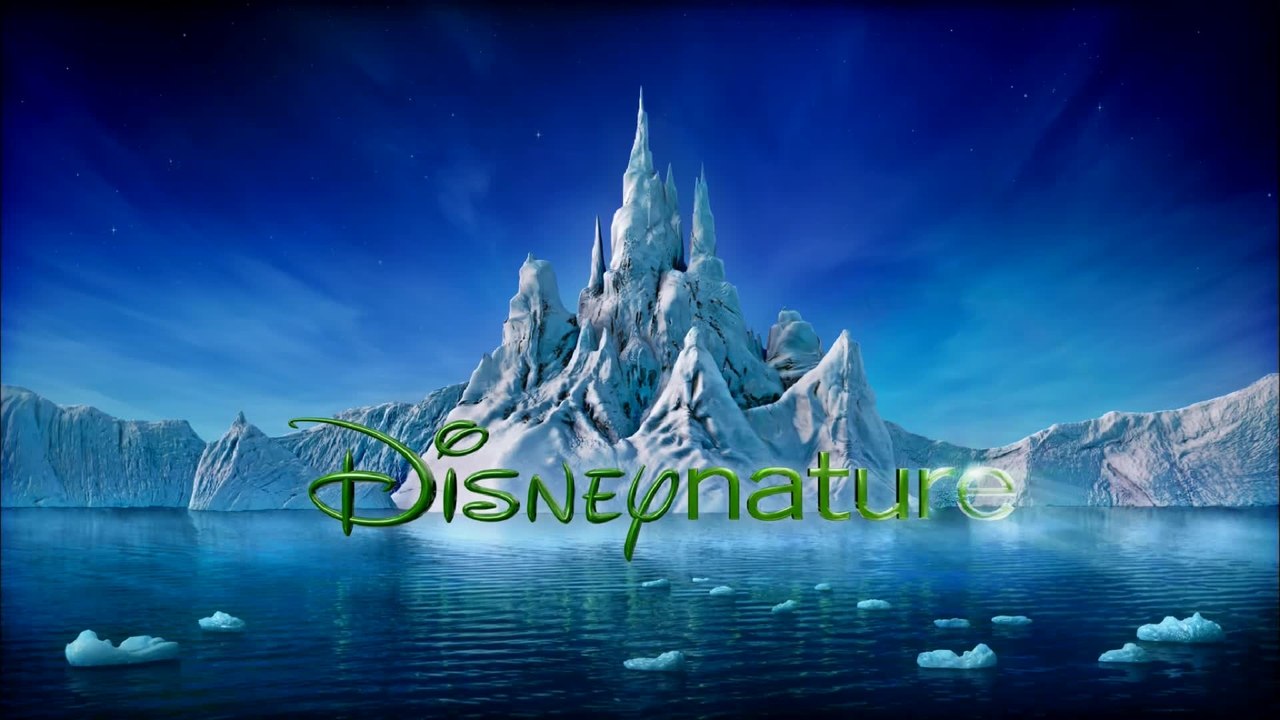 Das Geheimnis der Flamingos - Trailer (Deutsch)