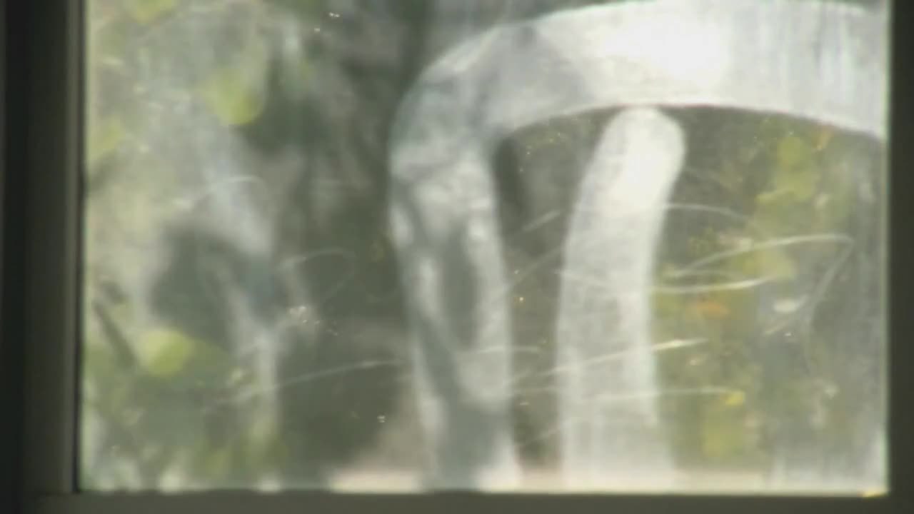 Die 4 Enden der Stadt - Trailer (Deutsch)