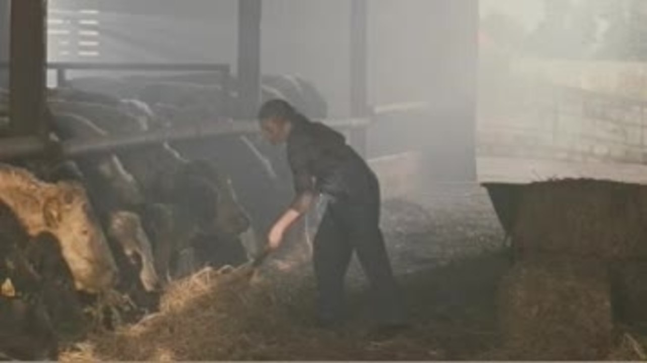 Das groÃŸe Rennen - Trailer (Deutsch)