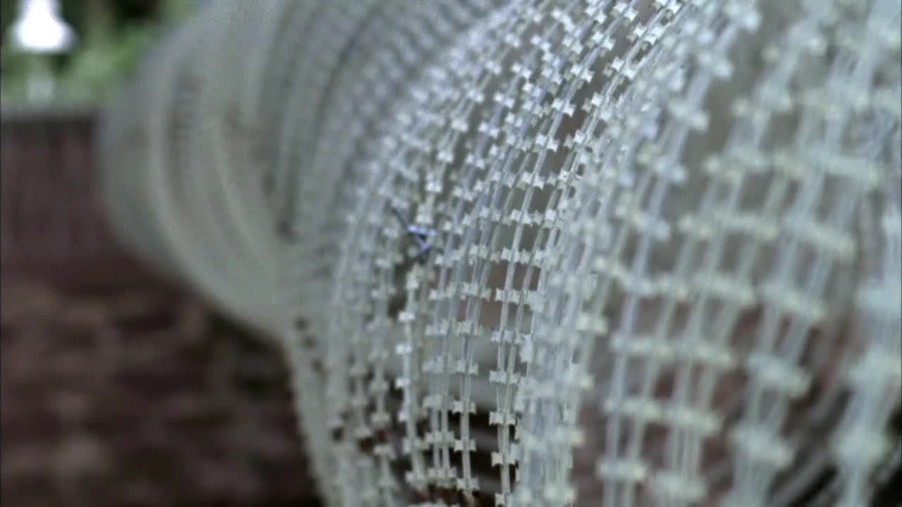 Bis aufs Blut - Trailer (Deutsch)