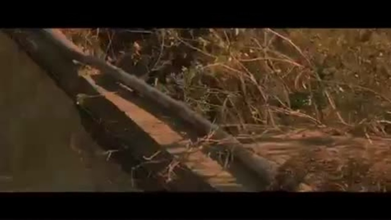 Cabin Fever 2 - Trailer (deutsch)