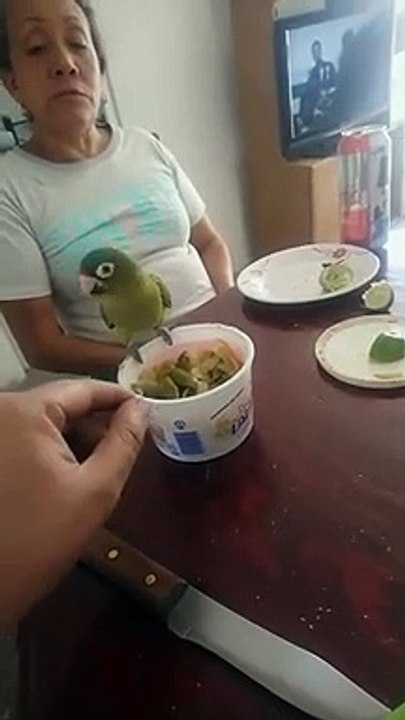 Dame chile loro