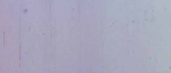 Grindhouse - HD Fake Trailers (Englisch)