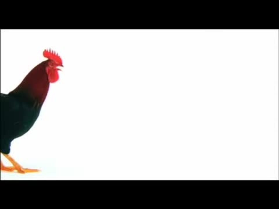 Vidocq - Trailer (deutsch)