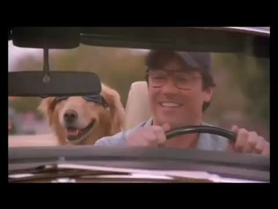 Reicher Hund mit Herz - Trailer (deutsch)