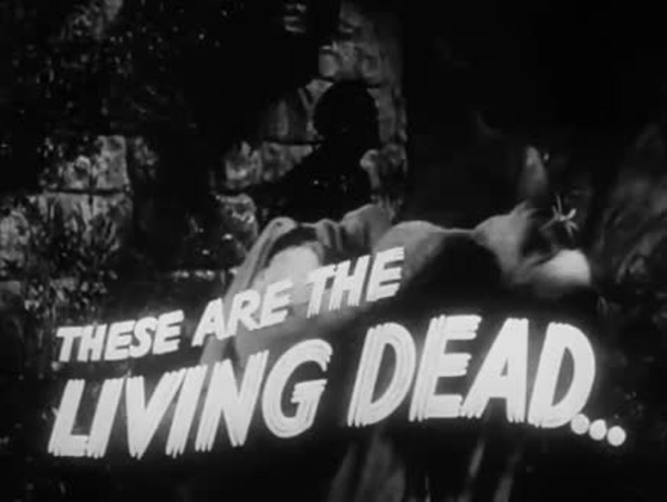 Ich folgte einem Zombie - Trailer