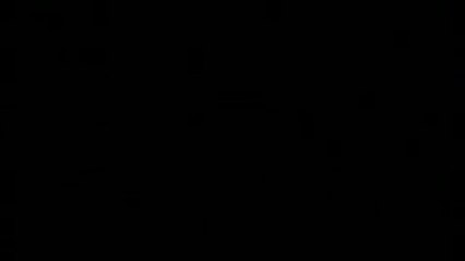 Leben oder so Ã¤hnlich - Trailer (Englisch)