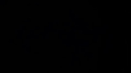 Die ZÃ¼rcher Verlobung - Trailer (Deutsch)