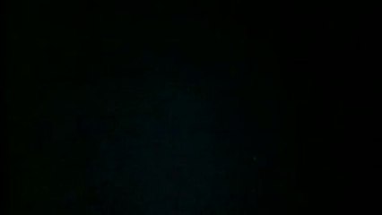 No Way Home - Unter BrÃ¼dern - Trailer (Englisch)