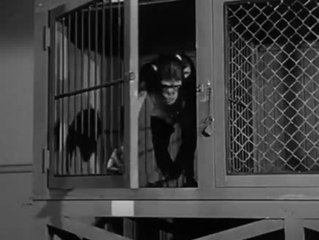 Liebling, ich werde jÃ¼nger - Trailer