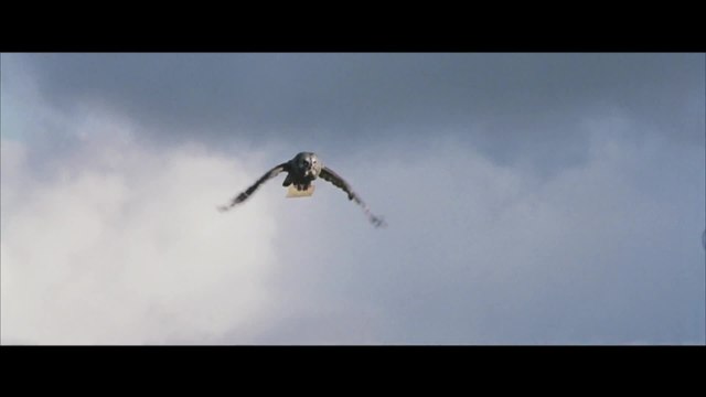 Harry Potter und die Kammer des Schreckens - DVD-Trailer (Englisch)