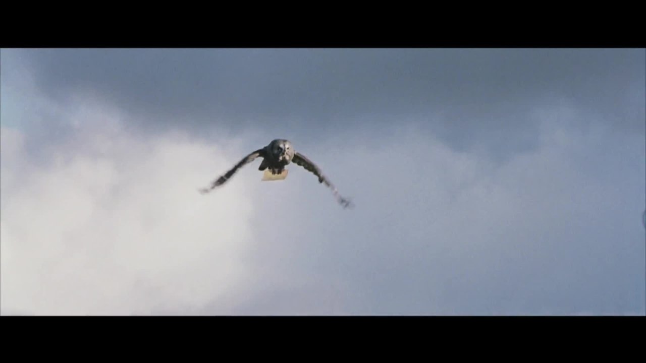 Harry Potter und die Kammer des Schreckens - DVD-Trailer (Englisch)