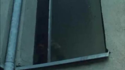 Ein Herz geht auf Reisen - Trailer (Deutsch)