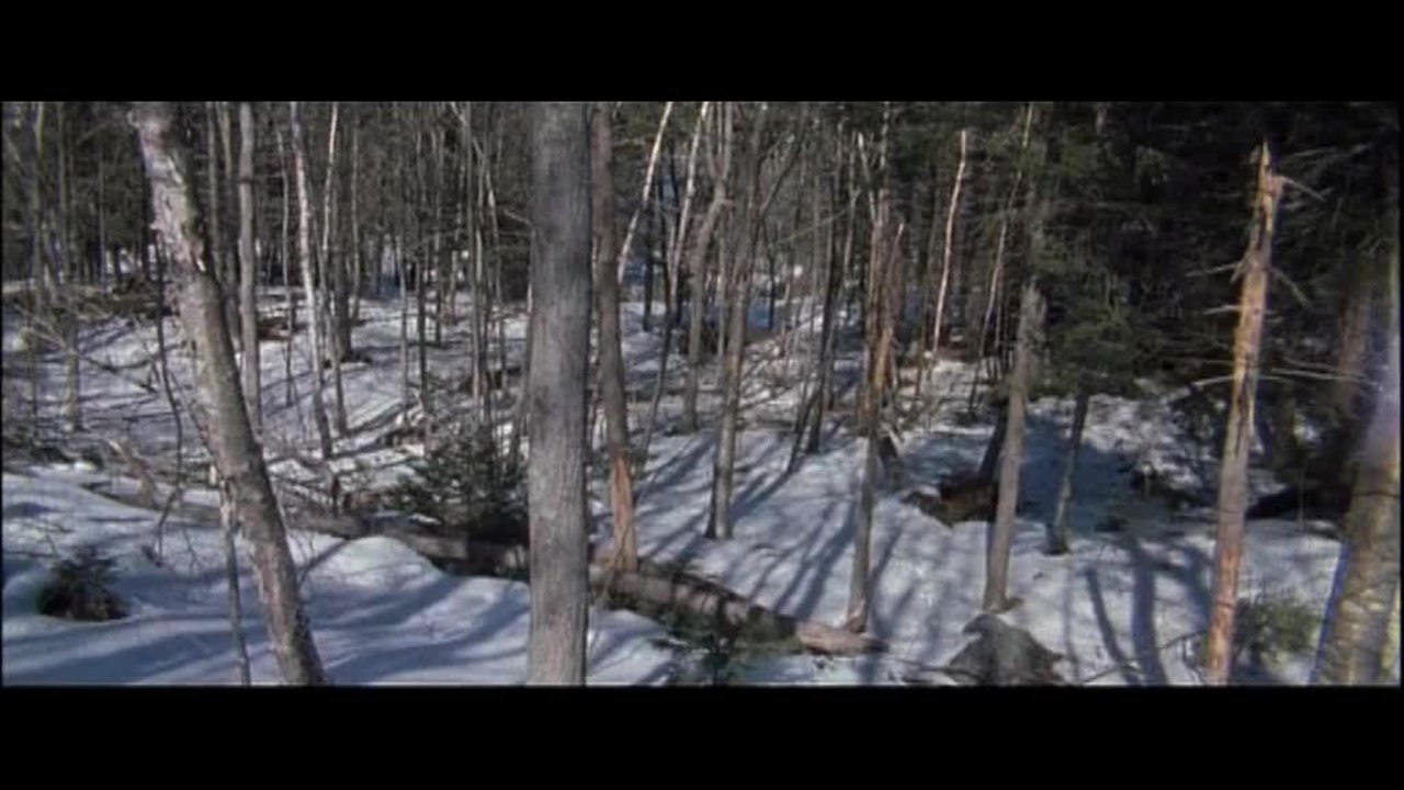 River King - Trailer (Deutsch)