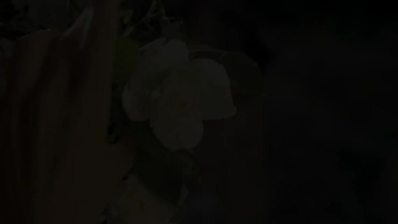 Carmen - Trailer (Deutsch)