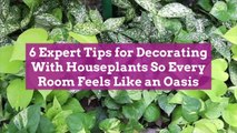 6 Expert Tips for Decorating With Houseplants So Every Room Feels Like an Oasis