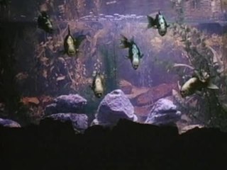 Monty Python's The Meaning of Life - Trailer (English)