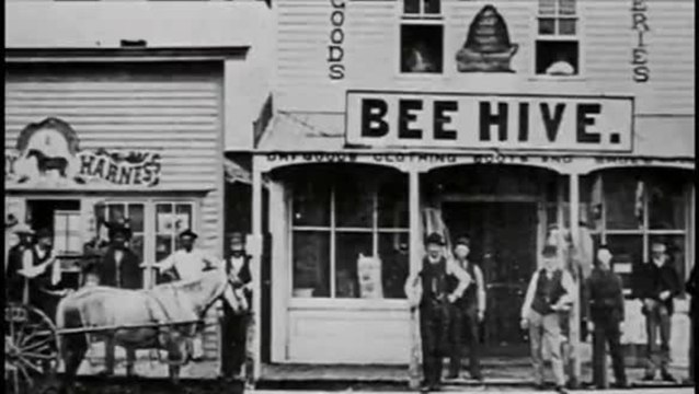 Geier kennen kein Erbarmen