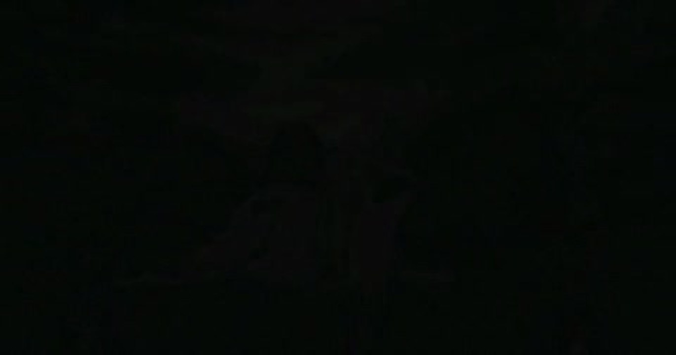 Meine Frau, die Spartaner, und ich - Trailer (Deutsch)