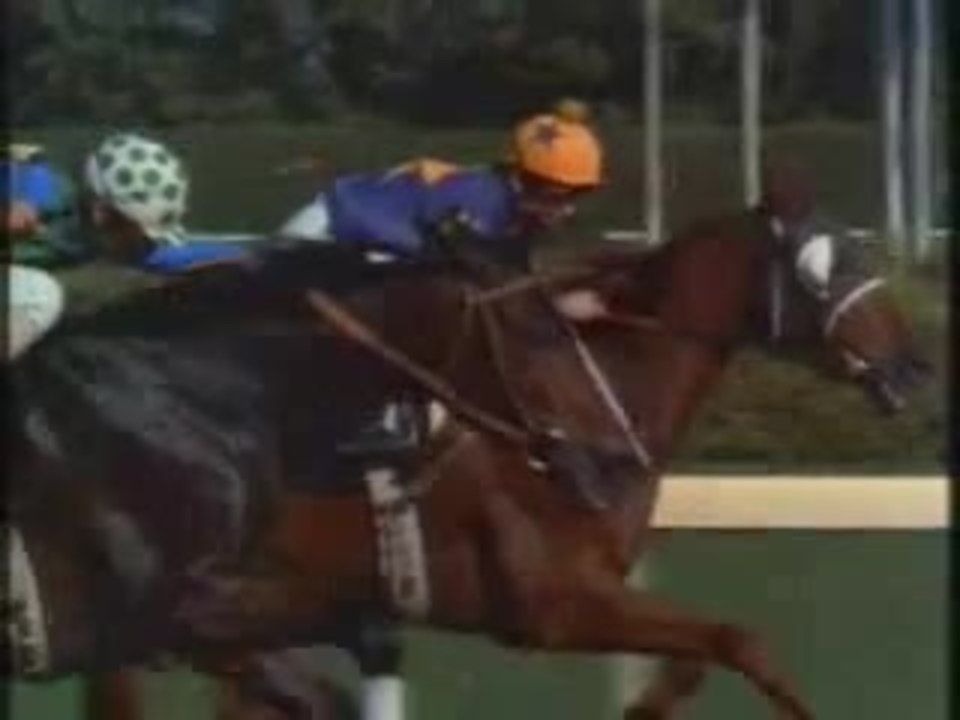 Alles auf Sieg - Trailer (deutsch)