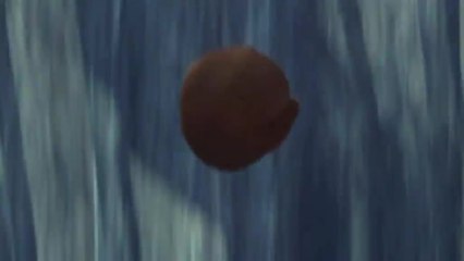 Jagdfieber 3 - Trailer (Spanisch)