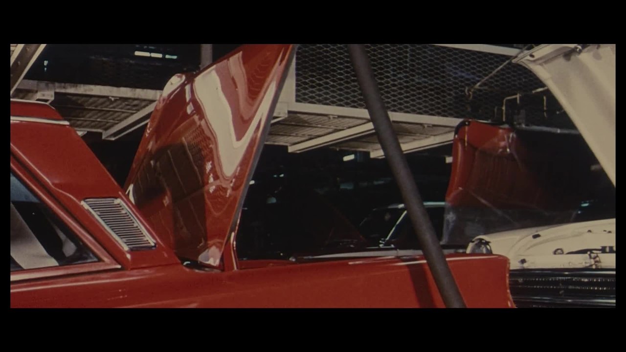 We want Sex - Trailer (Deutsch) HD