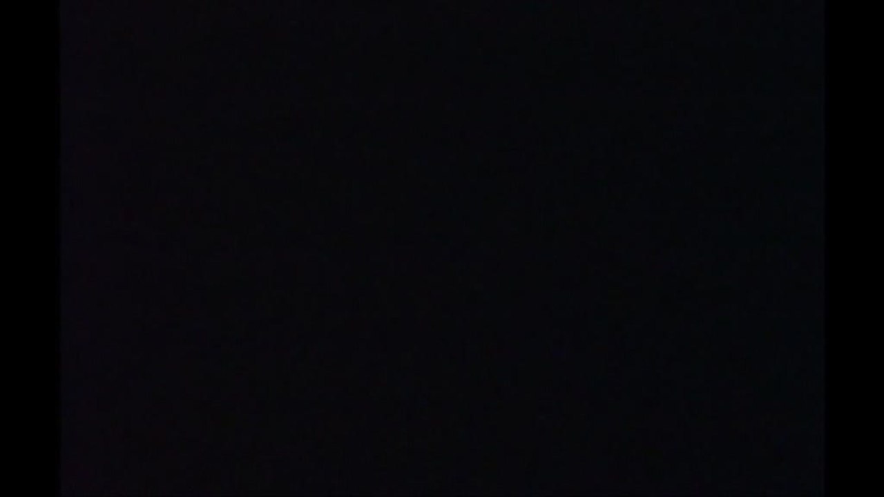 Fever Pitch - Trailer (Deutsch)