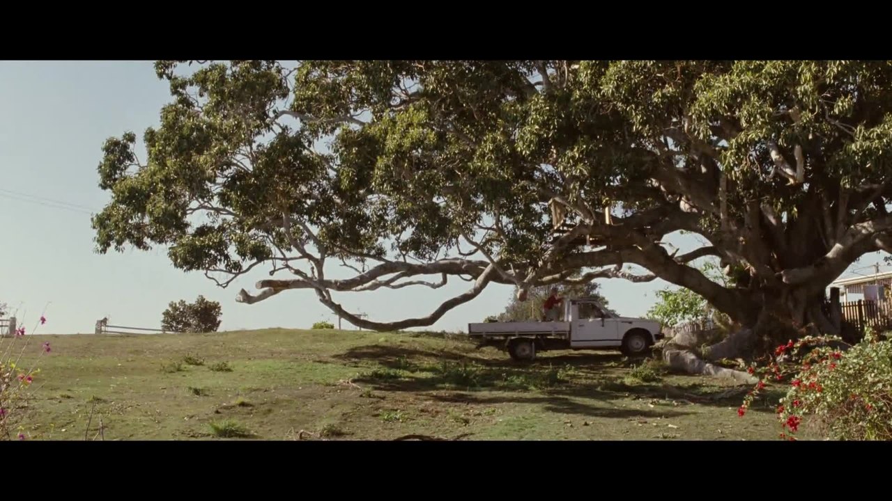 The Tree - Trailer (Deutsch) HD