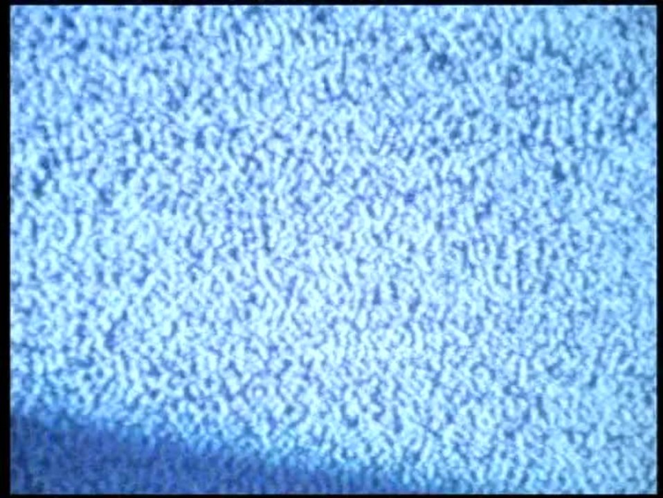 Hellraiser VII Deader - Trailer (Deutsch)