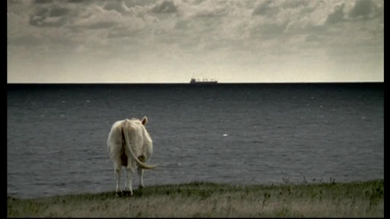 Die falsche FÃ¤hrte - Trailer (Deutsch)