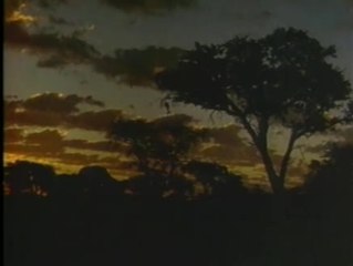 The Gods Must Be Crazy 2 - Trailer (Englisch)