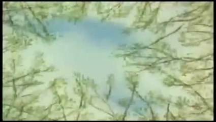 The Man Who Planted Trees - Trailer (Englisch)