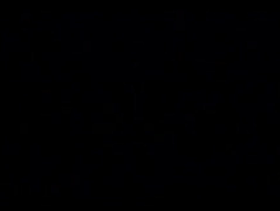 South Central - Trailer (Englisch)