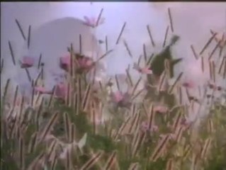 The Colour Purple - Trailer (Englisch)