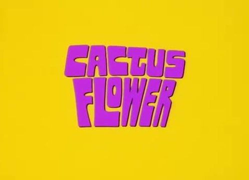 Die Kaktusblüte