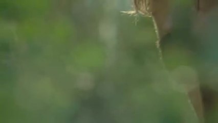 Lost Future - Kampf um die Zukunft - Trailer (Englisch)