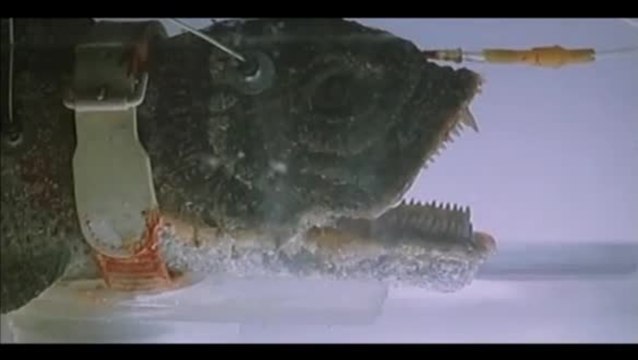 Creatures from the Abyss