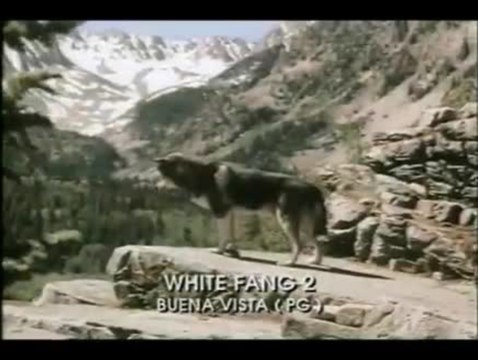 Wolfsblut 2 - Das Geheimnis des weißen Wolfes