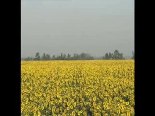 Unser TÃ¤glich Brot - Trailer (Deutsch)