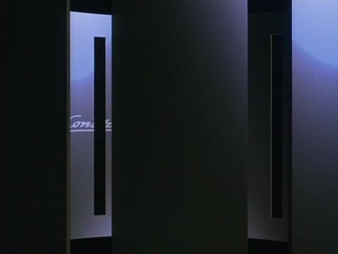 Party Animals - Wilder geht's nicht!