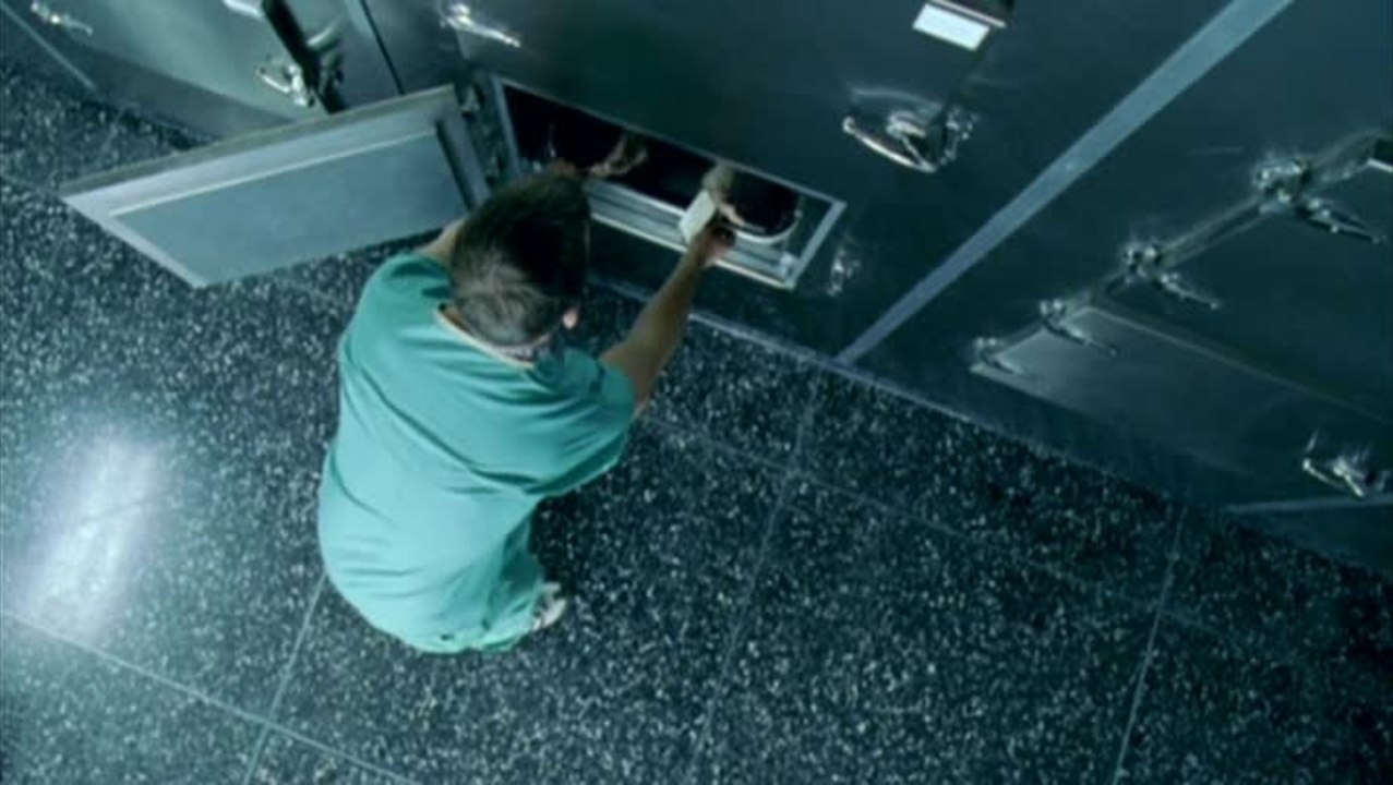 Rise - Trailer (Deutsch)