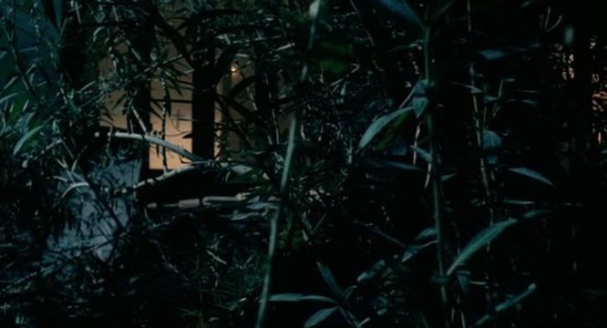 Das Kloster zum heiligen Wahnsinn