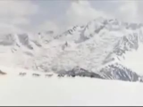 Snowdogs - Acht Helden auf vier Pfoten