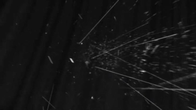 Bekenntnisse eines Öko-Terroristen