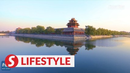 Golden autumn in 600-year-old Forbidden City