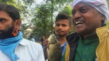 Tejashwi's supporters bring fish for the leader, sing songs