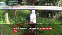 Ekowisata Hutan Gambut, Salah Satu Solusi Konservasi Hutan