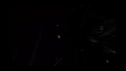 Alpha und Omega  - Trailer (Deutsch)