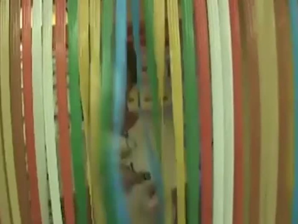 Ali Eckert zu Video Kings | Filmcheck & Interview